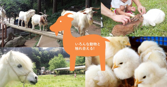 福岡県内で動物とふれあえるスポット9選 動物の種類や駐車場の有無など