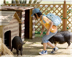 福岡県内で動物とふれあえるスポット9選 動物の種類や駐車場の有無など