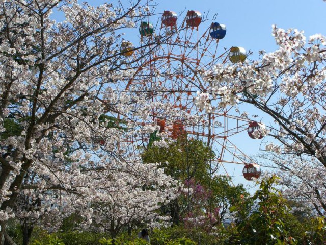 福岡県内のバーベキューができる花見スポットまとめ 駐車場やトイレ情報も