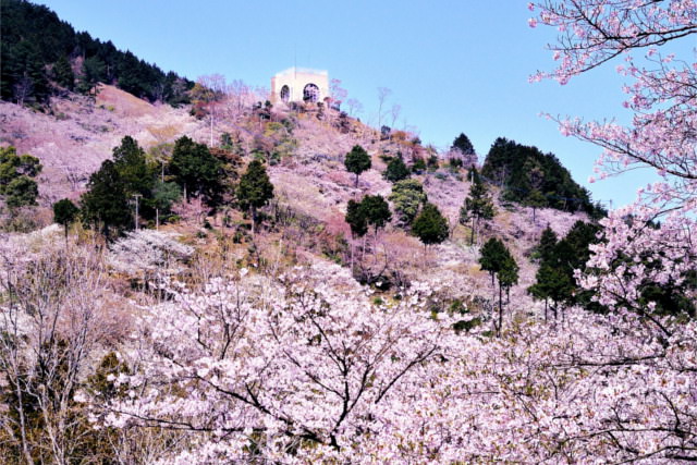 福岡県内のバーベキューができる花見スポットまとめ 駐車場やトイレ情報も